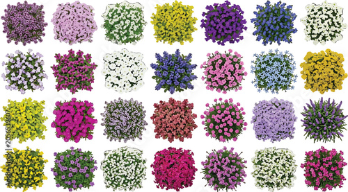Collection of colorful blooming flower bushes top view isolated on white background for landscape design elements