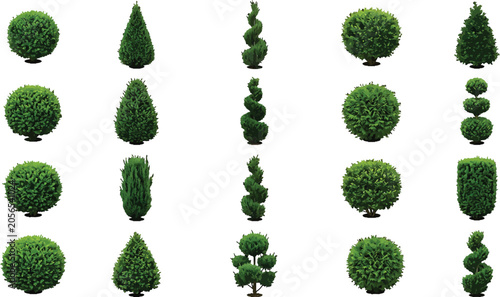 Set of trimmed ornamental garden shrubs and topiary trees isolated on white background for landscape design projects