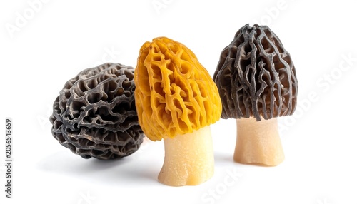 Three Textured Morel Mushrooms Arranged on White Background