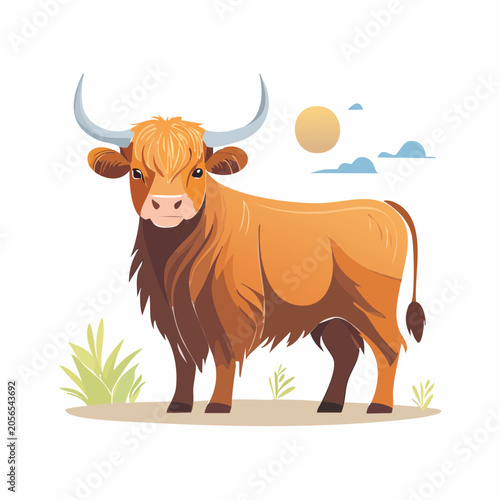 Highland Cow Illustration