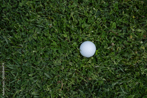 Top view of a white golf ball resting on lush green grass. Minimal sports composition with natural turf texture and ample copy space. Ideal for golf, recreation and outdoor leisure concepts.