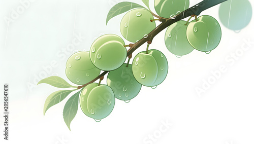 Fresh green plums on branch early summer illustration