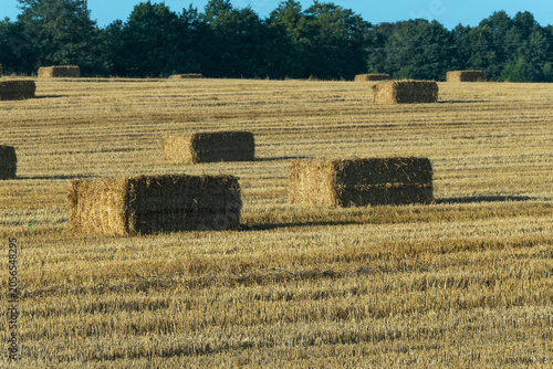 Bild auf Leinwand Golden hay field with large square bales in countryside during warm sunny evening
