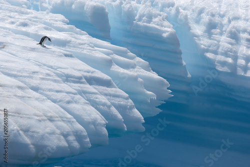 Striated iceberg with gentoo penguin along the coast of South Georgia Island