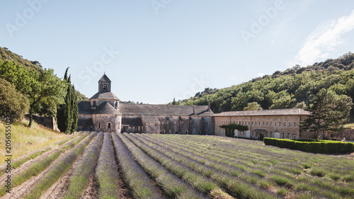 Valokuva Sénanque Abbey with Lavender Field in Provence, France