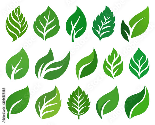 PNG Vibrant green leaf designs on transparent background