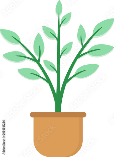 Green House Plant in Pot Vector Illustration