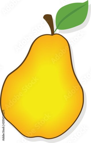 Fresh Yellow Pear Fruit Vector Illustration