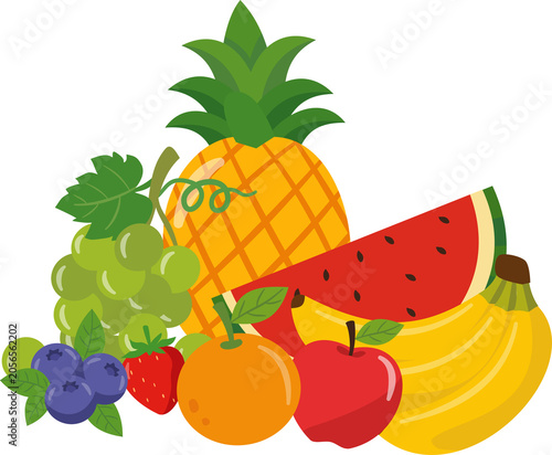 Fruit illustration