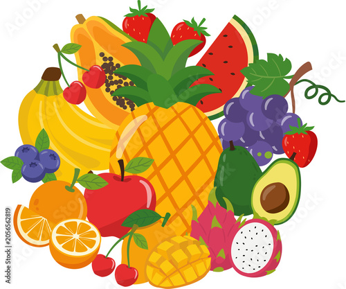 Fruit illustration