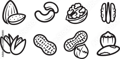 Eight types of nuts and seeds flat illustration