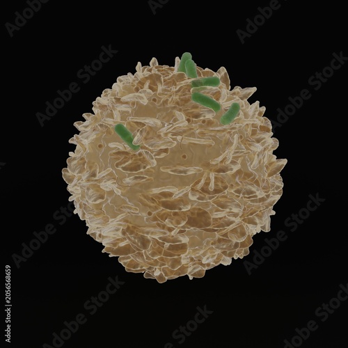 3d model of a macrophage in a resting state (not activated). Not AI generated