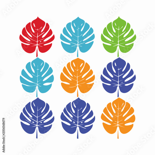 Monstera Leaves Pattern in Vibrant Colors