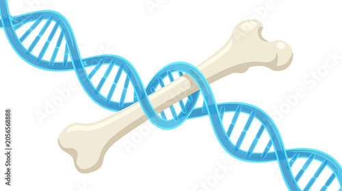 Photos DNA Double Helix Wrapping Human Femur Bone