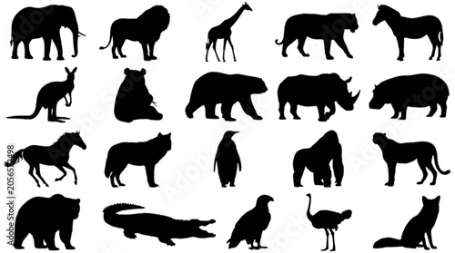 Photography Black and white animal silhouette vector icons set isolated on transparent backg