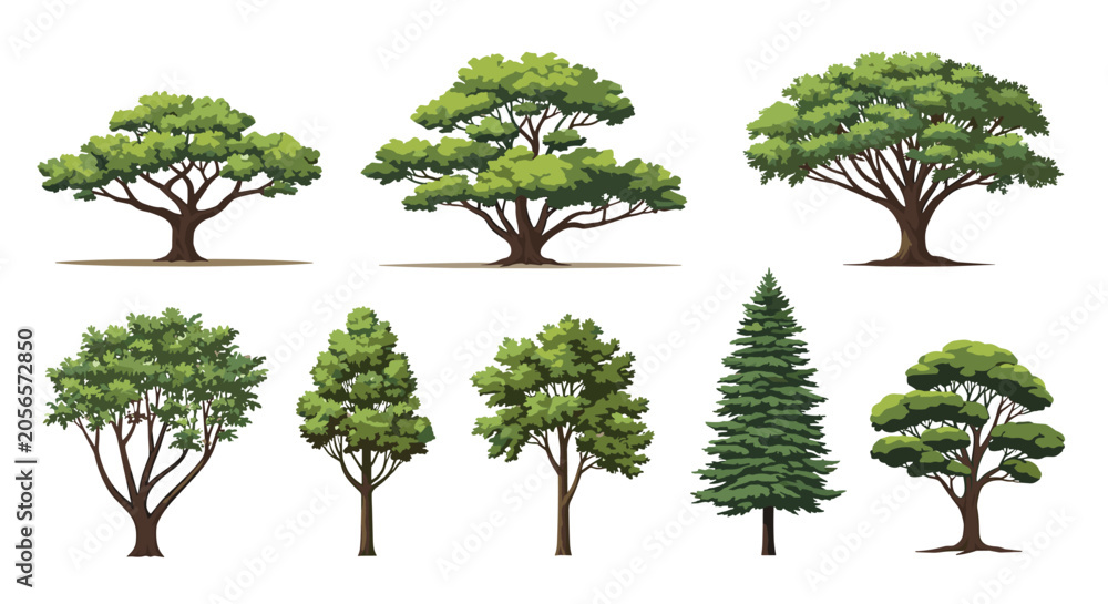 Fototapeta premium Diverse collection of detailed green tree illustrations shows various species with different canopy shapes and branch structures.