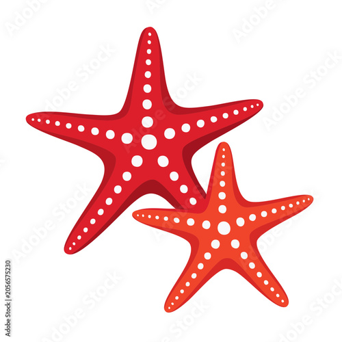 Red star vector icon isolated