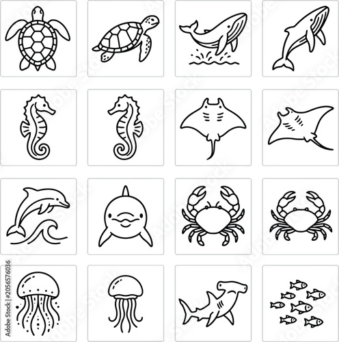 Photography Sea animals and marine life vector line art icons set