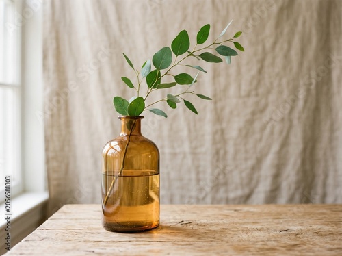 Minimalist green leaf branch in amber glass vase on wooden table by window with natural light