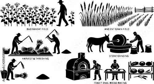 Photos Ancient Grain Farming and Bread Baking Silhouette Set – Buckwheat Field, Harvest