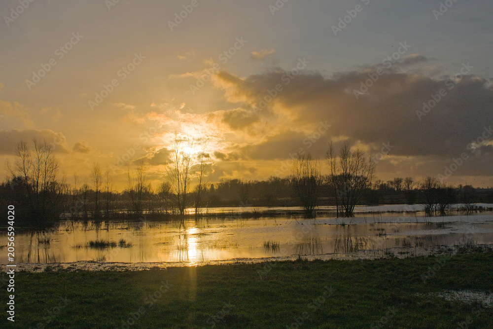 Fototapeta premium Bare tree silhouettes against an orange sunset glow reflecting in the water in the wetlands of Bourgoyen nature reserve, Ghent, Flanders, Belgium 