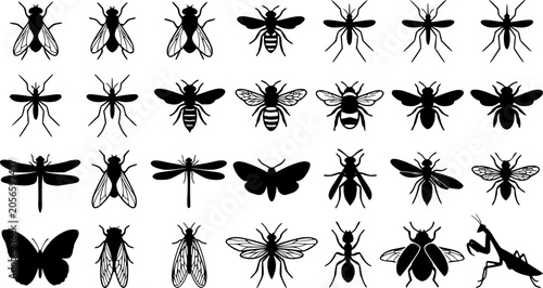 Insect silhouettes collection, fly mosquito bee species, winged bug icon, vector illustration, nature art, entomology design, wildlife fauna, pest control ... 
