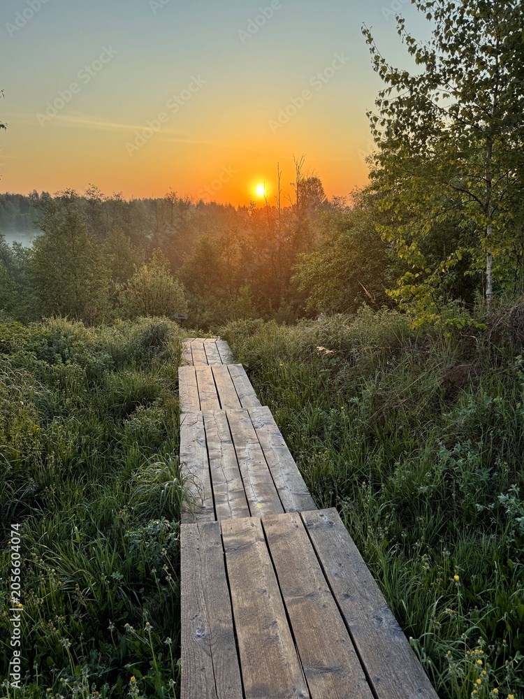 Fototapeta premium A wooden boardwalk path leads down a grassy hill towards a misty forest during a beautiful golden sunrise. Concept of new beginnings and hope.