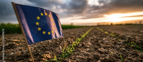 Flag planted in a field of young crops at sunset, symbolizing agriculture