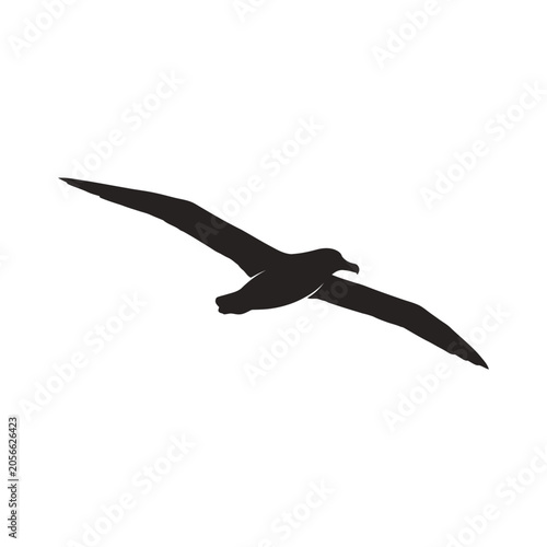Bild auf Leinwand Minimalist albatross bird flying silhouette with albatross silhouette wildlife