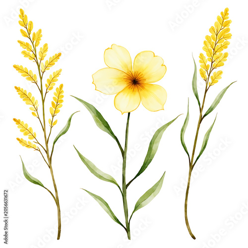 Watercolor floral bouquet illustration set of yellow Butterfly Bush flowers, yellow Bulbine Flowers, and yellow Butterfly Bush blooms for elegant botanical garden art design

