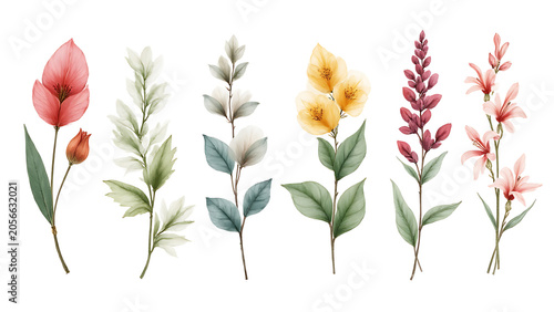 Watercolor floral bouquet illustration set of yellow Hibiscus Flowers with vibrant tropical petals, and Wishbone Flowers in soft purple and white tones for elegant botanical art

