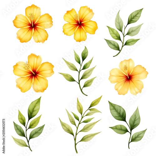 Watercolor floral bouquet illustration set of yellow Hibiscus Flowers with vibrant tropical petals, and Wishbone Flowers in soft purple and white tones for elegant botanical art

