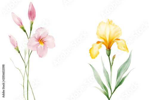 Watercolor floral bouquet illustration set of Bulbous Buttercup Flowers in bright golden yellow, Butterfly Bush blooms, and Iris Flowers in soft purple blue tones for elegant botanical art

