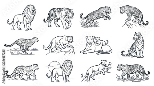 Photography Big Cats Collection: Lion, Tiger, Leopard, Cheetah Line Art Illustrations