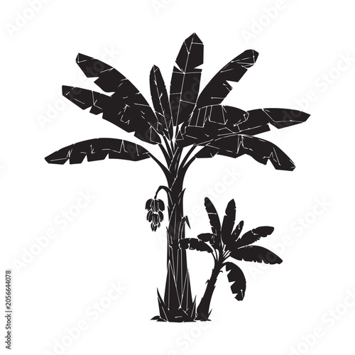 Banana tree silhouette vector with fruit bunch and sapling featuring distressed texture and tropical foliage design