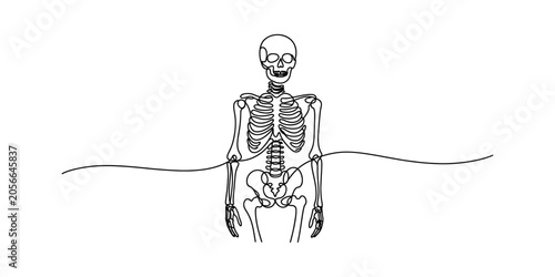 Foto Continuous line drawing Human skeleton, anatomy illustration, medical vector, bl