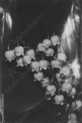 Retro Style Black and White Lily of the Valleys. Generative AI