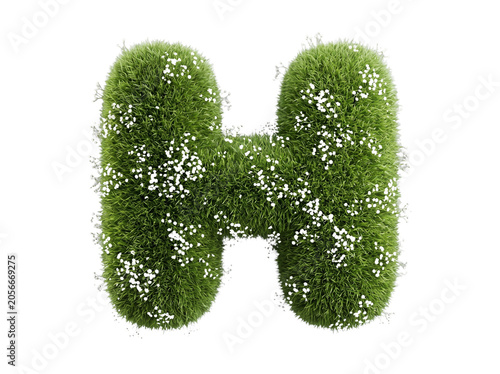 Letter H Made of Green Grass with White Flowers