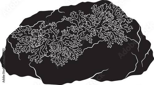 Fotografie Detailed Vector Illustration of Lichen Growth on a Rock, Organic Texture, Nature