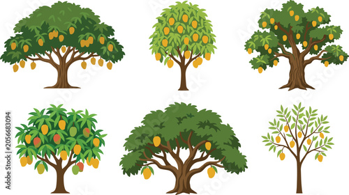 Mango Tree Collection Illustration Featuring Fruit Bearing Tropical Trees Orchard Agriculture Botanical Nature and Organic Harvest Design