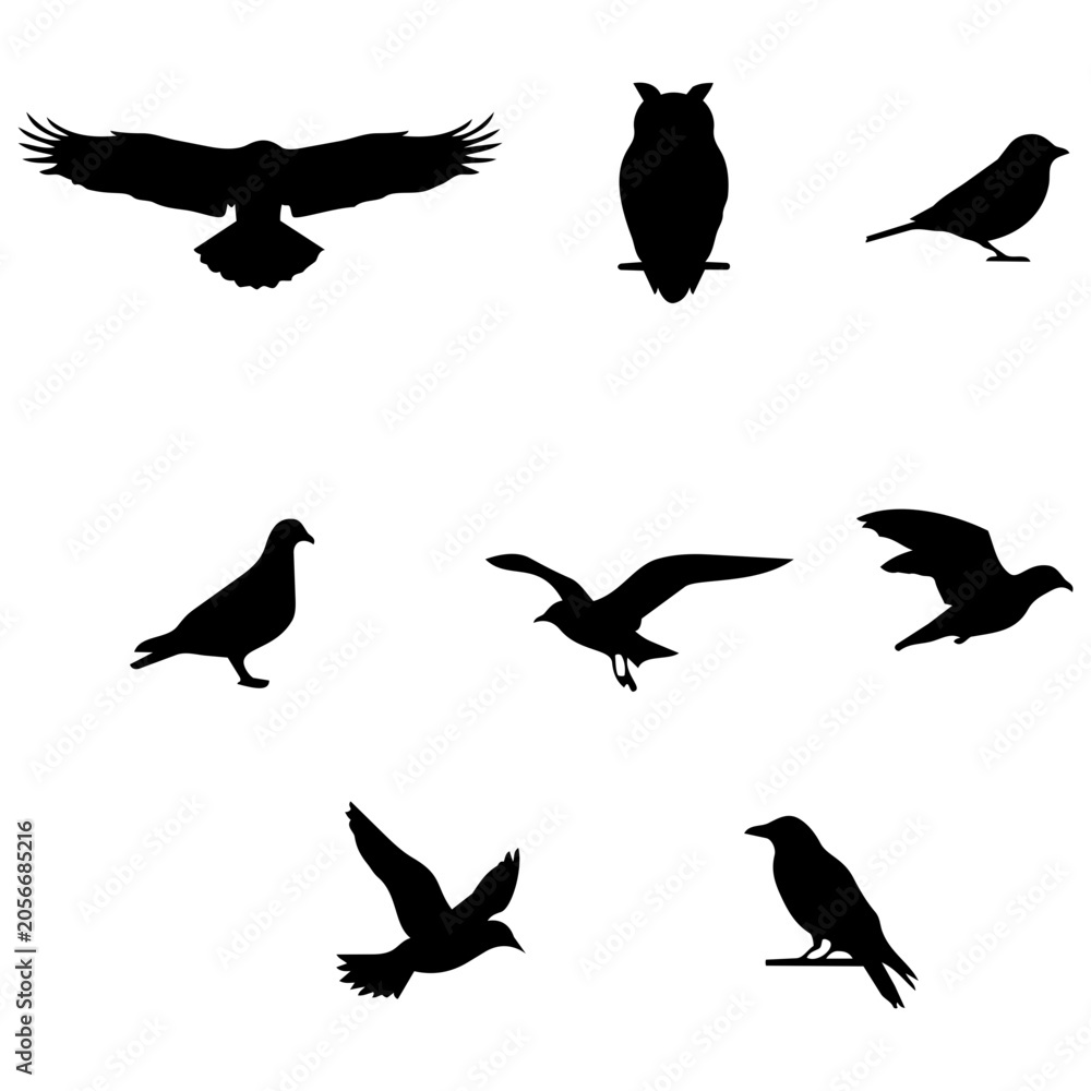 Fototapeta premium Flying and Perching Birds Black Silhouette Set
