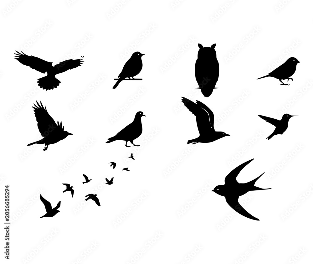 Fototapeta premium Flying Birds Black Silhouette Collection