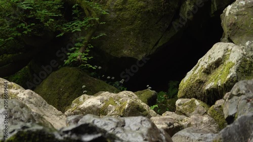 Mysterious Dark Stone Cave Entrance with Wild White Flowers