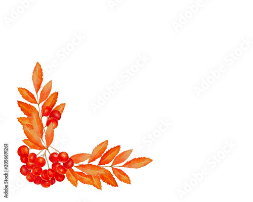 Watercolor autumn rowan berry corner frame with orange leaves