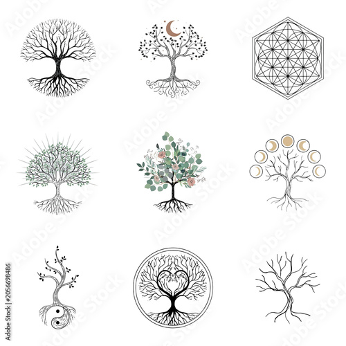 Set of tree of life symbols isolated on transparent background