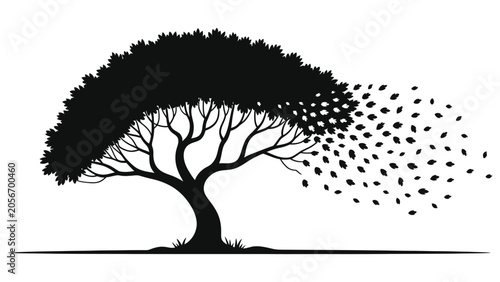 Photos Autumn Tree Silhouette with Blowing Falling Leaves Vector Illustration