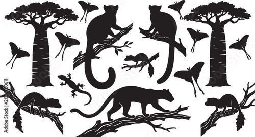 Photography African Wildlife Silhouettes: Baobab Trees, Lemurs, Panther, Moths, and Lizards Vector Set