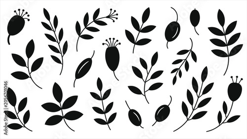 Autumn Leaf and Seed Pod Silhouette Collection - Floating Botanical Vector Illustration Set