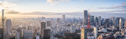 Tokyo skyline panorama at sunset, Tokyo, Japan