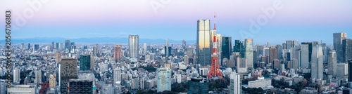 Tokyo skyline panorama, Tokyo, Japan